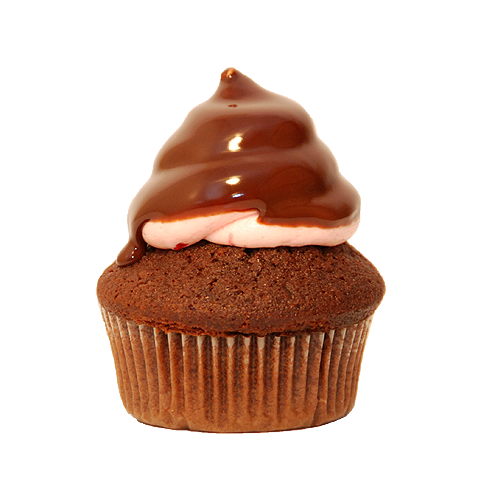 Chocolate Raspberry